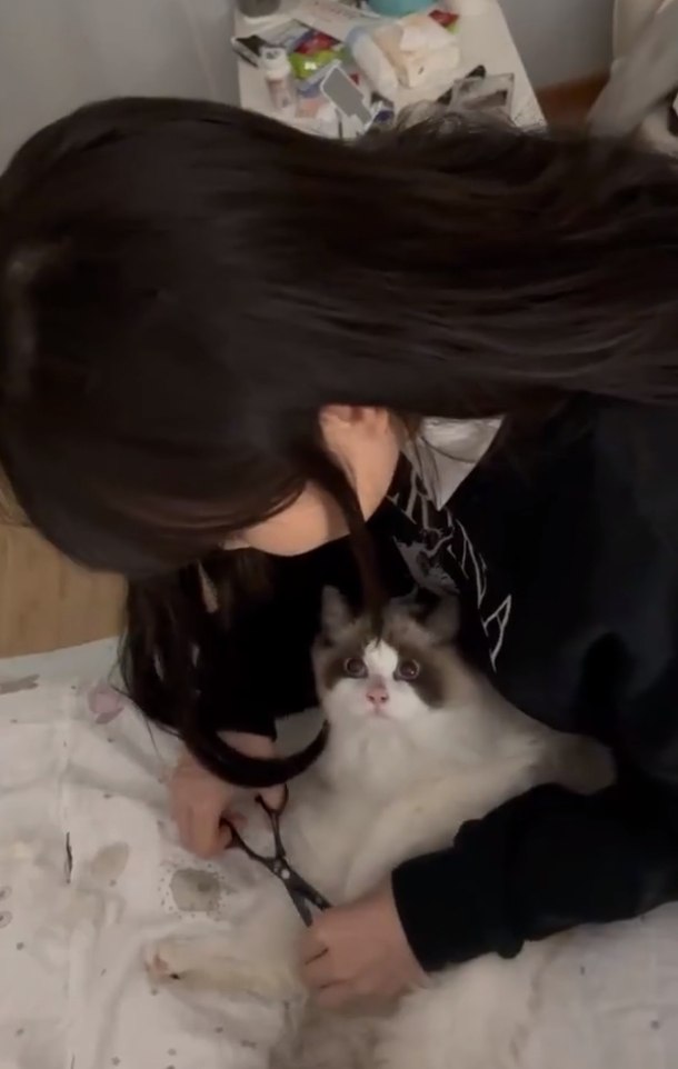 妹子是过来看布偶猫的，半推半就的把妹子就给操了，操的时候还给闺蜜打了个电话